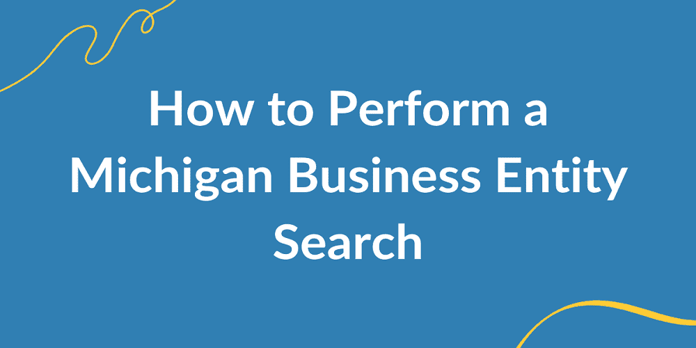 Michigan SOS Business Search – KYB & Entity Lookup